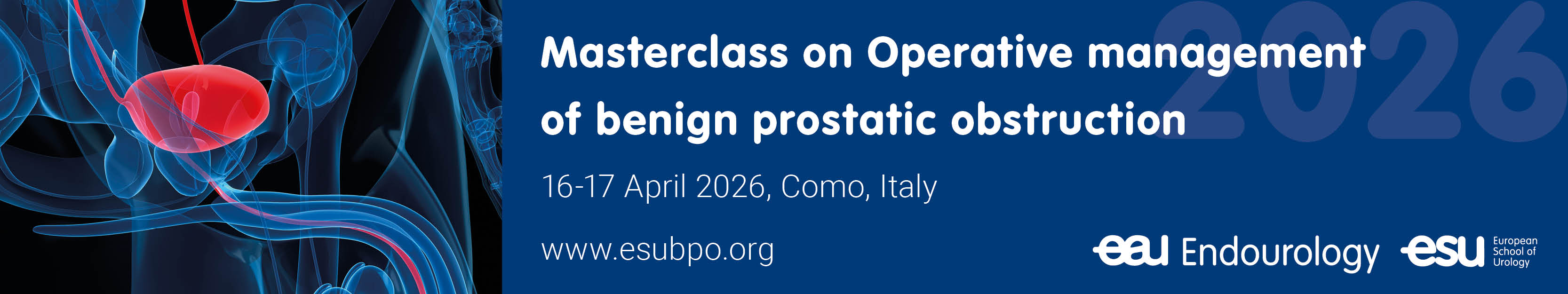 Masterclass on Operative management of benign prostatic obstruction