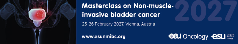 Masterclass on Non-muscle-invasive bladder cancer