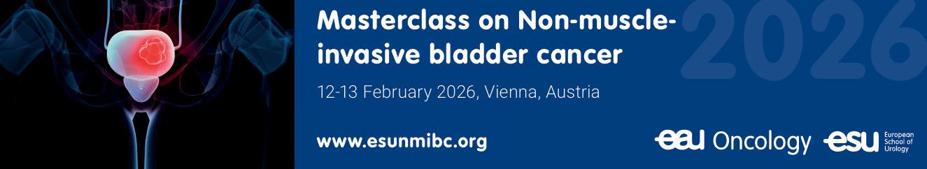 Masterclass on Non-muscle-invasive bladder cancer