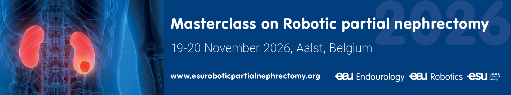 Masterclass on Robotic partial nephrectomy